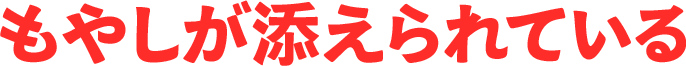 もやしが添えられている