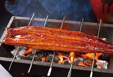 画像:浜名湖うなぎ