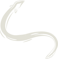 うなぎの絵