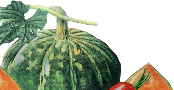 浜松餃子 遠鉄ストア ネット通販