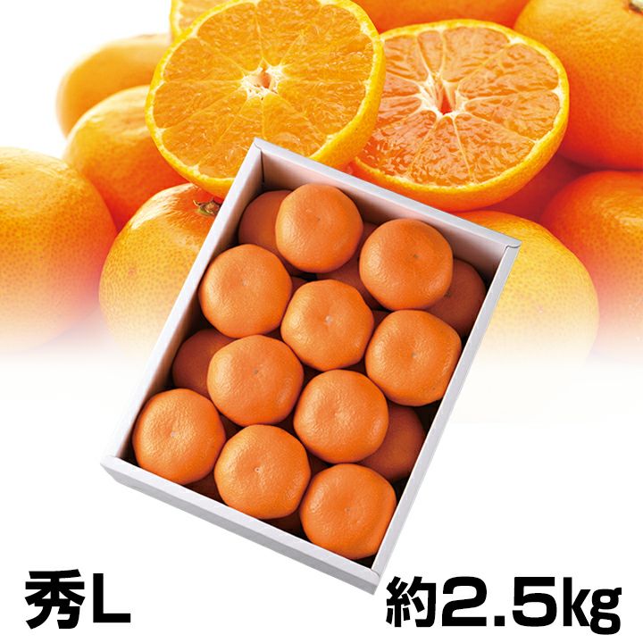 5️⃣静岡県浜松市浜名区三ケ日みかん　箱入20kg Sサイズ　送料込　7000円 三ケ日みかん 1000N 温州みかん果汁入飲料（5倍希釈時20