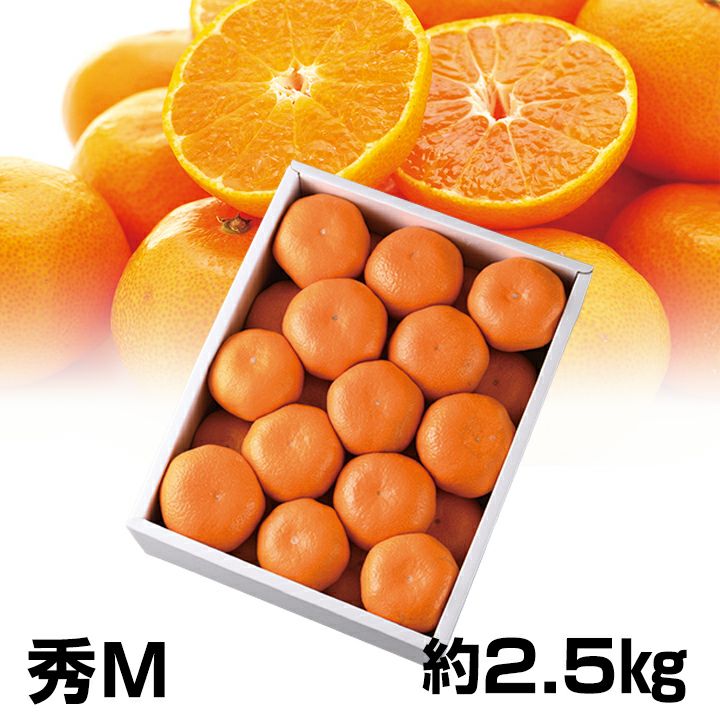 世界的に 三ヶ日みかん | ネット通販 遠鉄ストア 果物