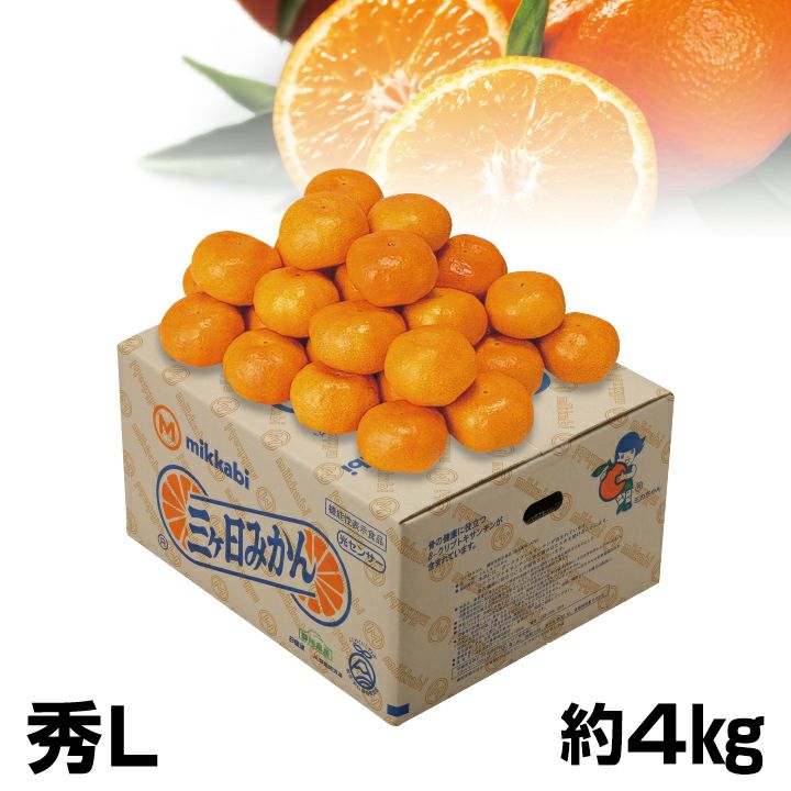 販売終了】静岡県産JAみっかび三ヶ日みかん 秀L 約4kg | 遠鉄