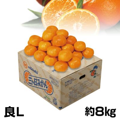 000000010595-01-m.jpg?t=