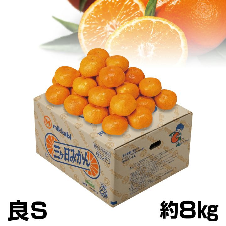 000000010597-01-l.jpg?t=