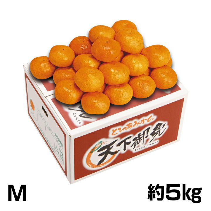販売終了】浜松市産とぴあ浜松とぴあみかん天下御免M約5kg | 遠鉄