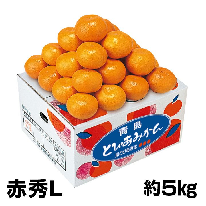 と*と様 オレンジ　コア　96個 販売終了】JAとぴあ浜松青島とぴあみかん赤秀L約5kg | 遠鉄